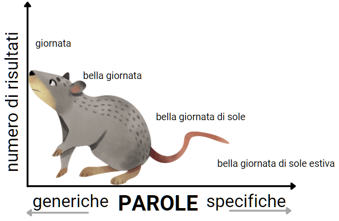 Parole Chiave: cosa sono e come trovarle in 7 step! - parole chiave a coda lunga