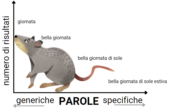 parole-chiave-a-coda-lunga-long-tail-keywords.png